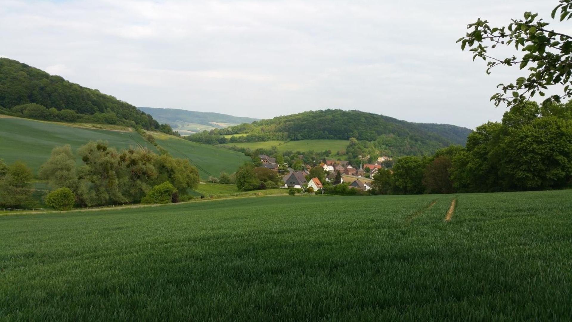 Urlaub Mit Hund In Bodenwerderアパートメント エクステリア 写真